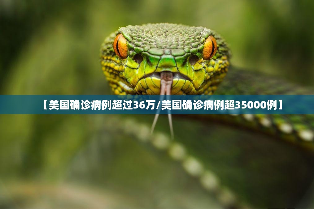 【美国确诊病例超过36万/美国确诊病例超35000例】
