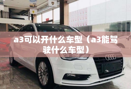 a3可以开什么车型（a3能驾驶什么车型）