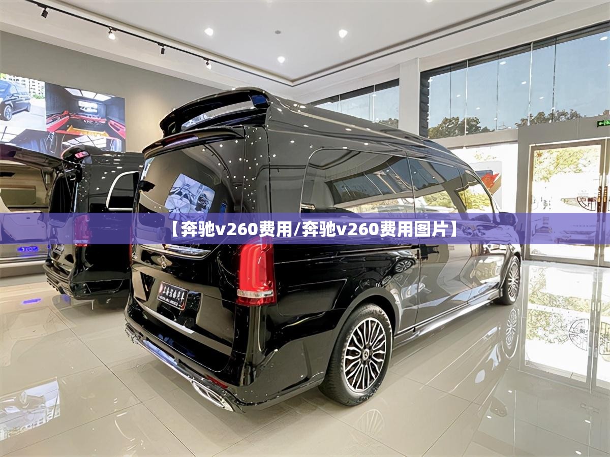 【奔驰v260费用/奔驰v260费用图片】