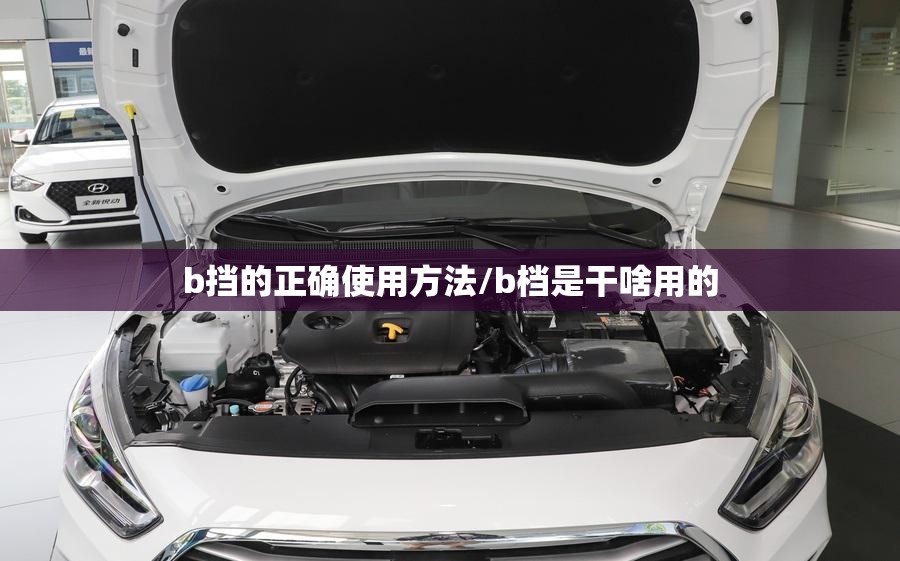 b挡的正确使用方法/b档是干啥用的 b挡的正确使用方法/b档是干啥用的