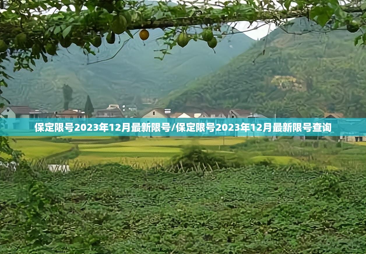 保定限号2023年12月最新限号/保定限号2023年12月最新限号查询