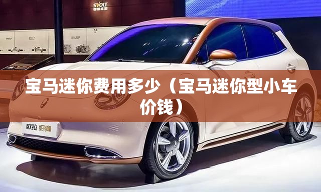 宝马迷你费用多少（宝马迷你型小车价钱）