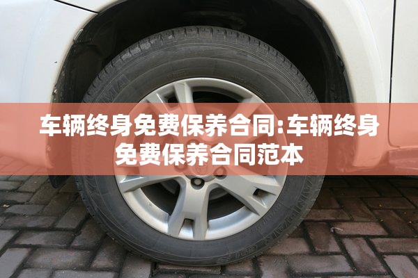 车辆终身免费保养合同:车辆终身免费保养合同范本