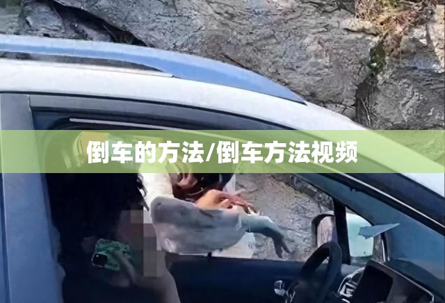 倒车的方法/倒车方法视频