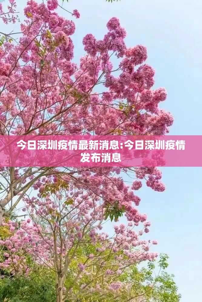今日深圳疫情最新消息:今日深圳疫情发布消息 今日深圳疫情最新消息:今日深圳疫情发布消息