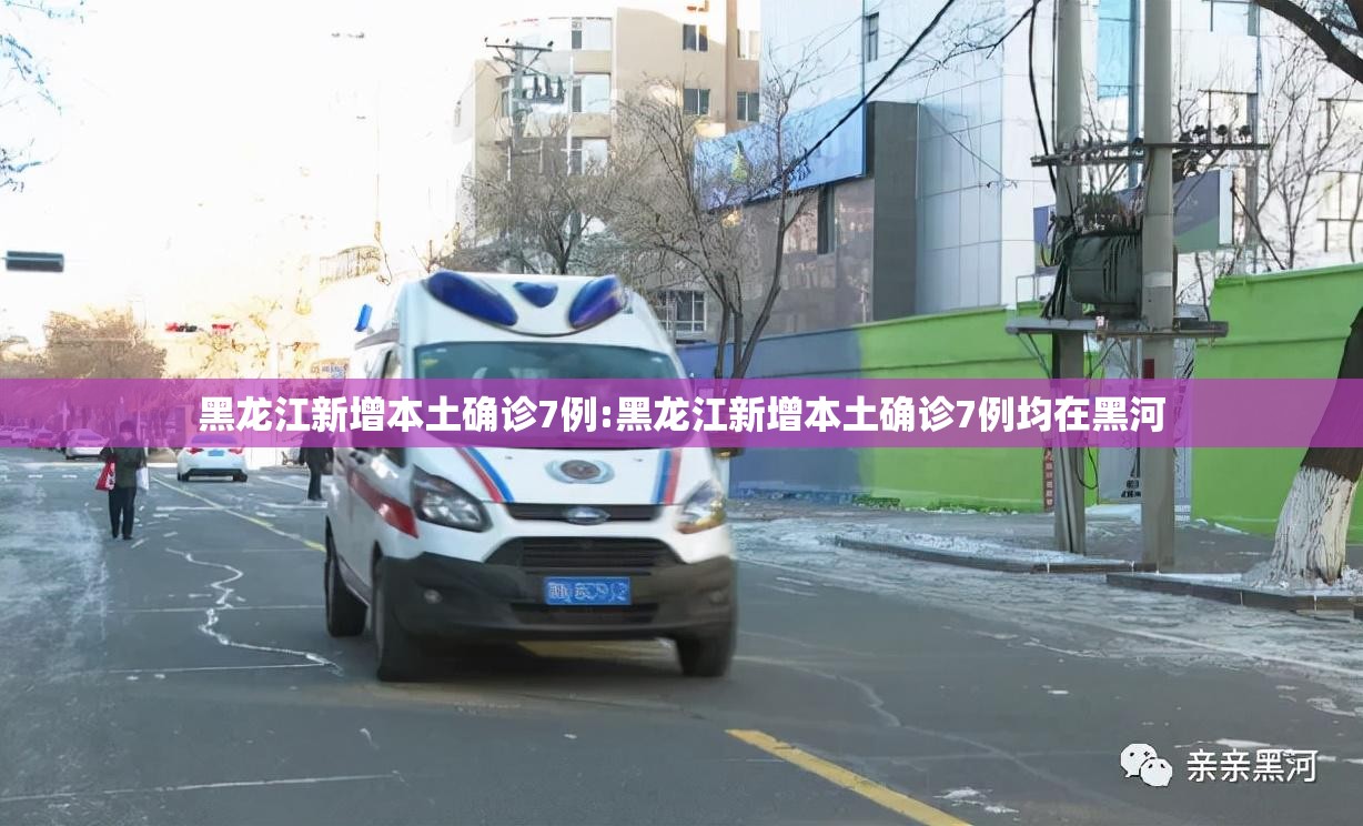 黑龙江新增本土确诊7例:黑龙江新增本土确诊7例均在黑河