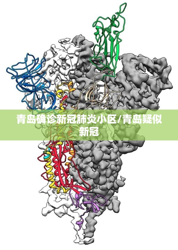 青岛确诊新冠肺炎小区/青岛疑似新冠