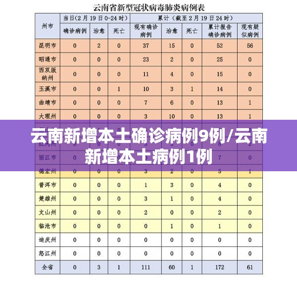 云南新增本土确诊病例9例/云南新增本土病例1例