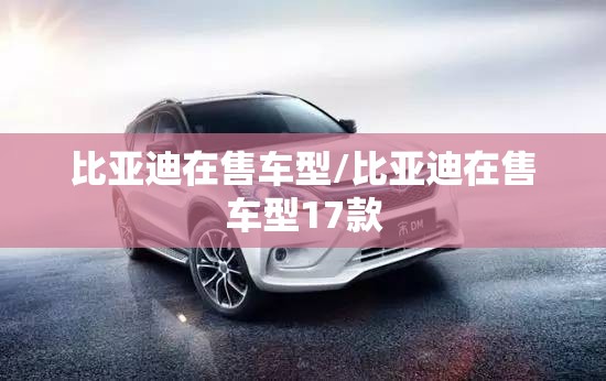 比亚迪在售车型/比亚迪在售车型17款