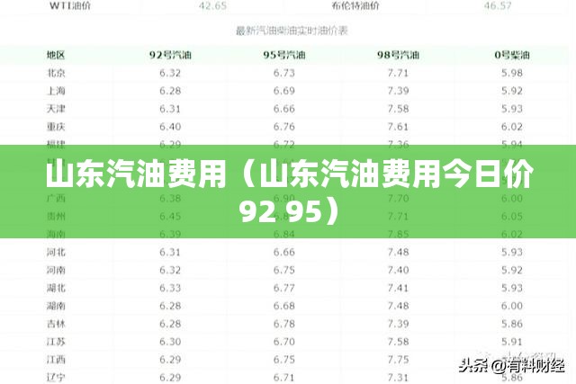 山东汽油费用（山东汽油费用今日价92 95）