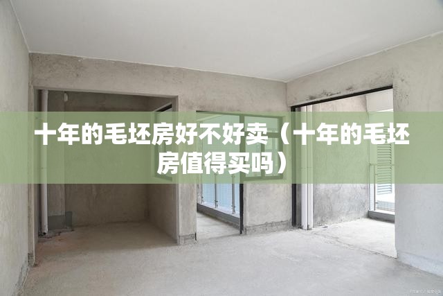 十年的毛坯房好不好卖（十年的毛坯房值得买吗）
