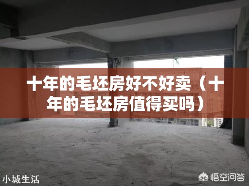 十年的毛坯房好不好卖（十年的毛坯房值得买吗）