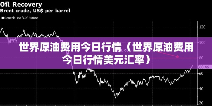 世界原油费用今日行情（世界原油费用今日行情美元汇率）