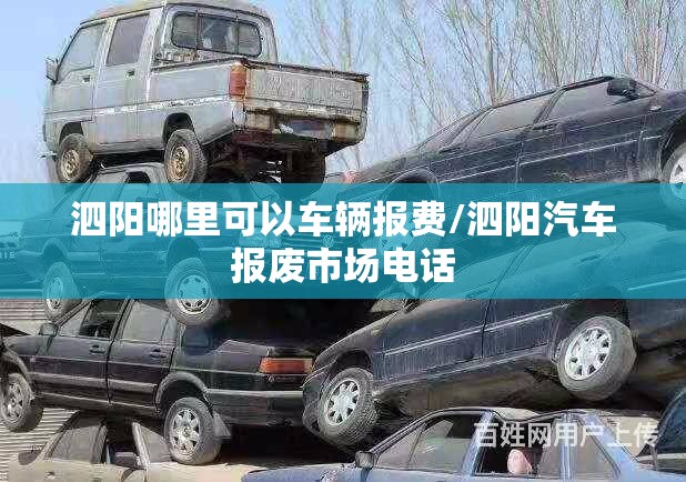 泗阳哪里可以车辆报费/泗阳汽车报废市场电话