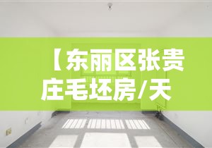【东丽区张贵庄毛坯房/天津市东丽区张贵庄房价走势图】