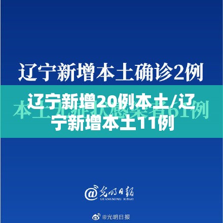 辽宁新增20例本土/辽宁新增本土11例