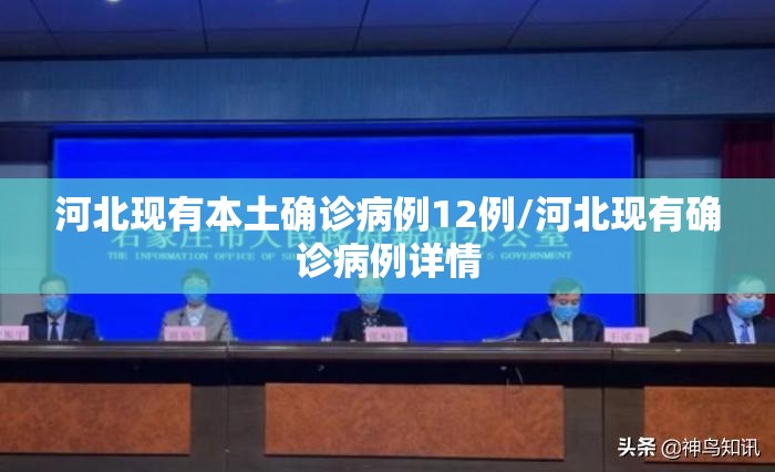 河北现有本土确诊病例12例/河北现有确诊病例详情