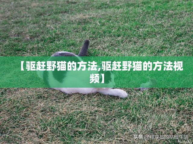 【驱赶野猫的方法,驱赶野猫的方法视频】