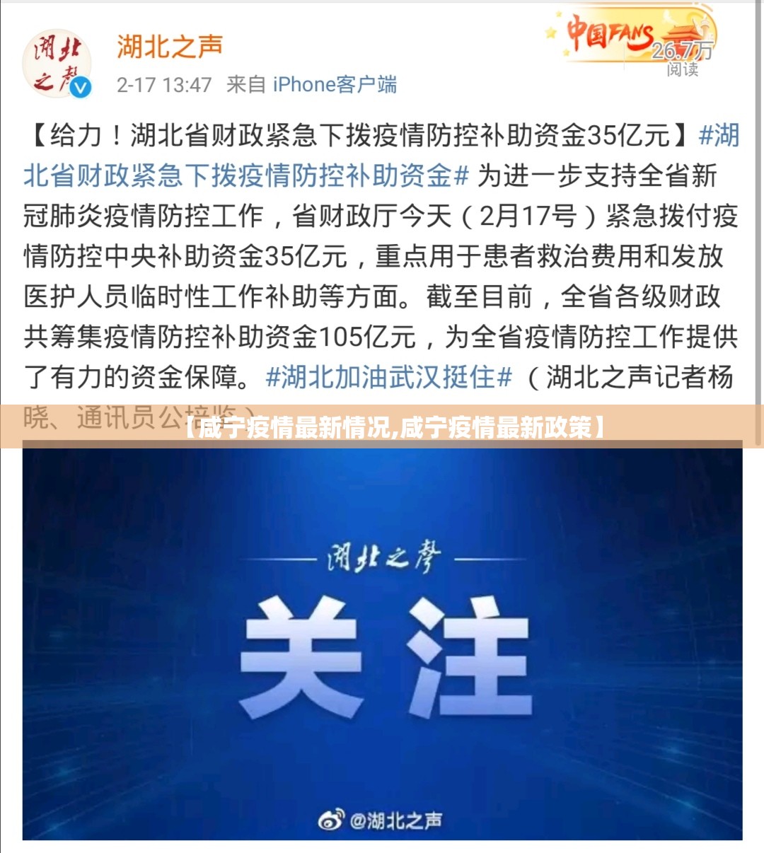 【咸宁疫情最新情况,咸宁疫情最新政策】