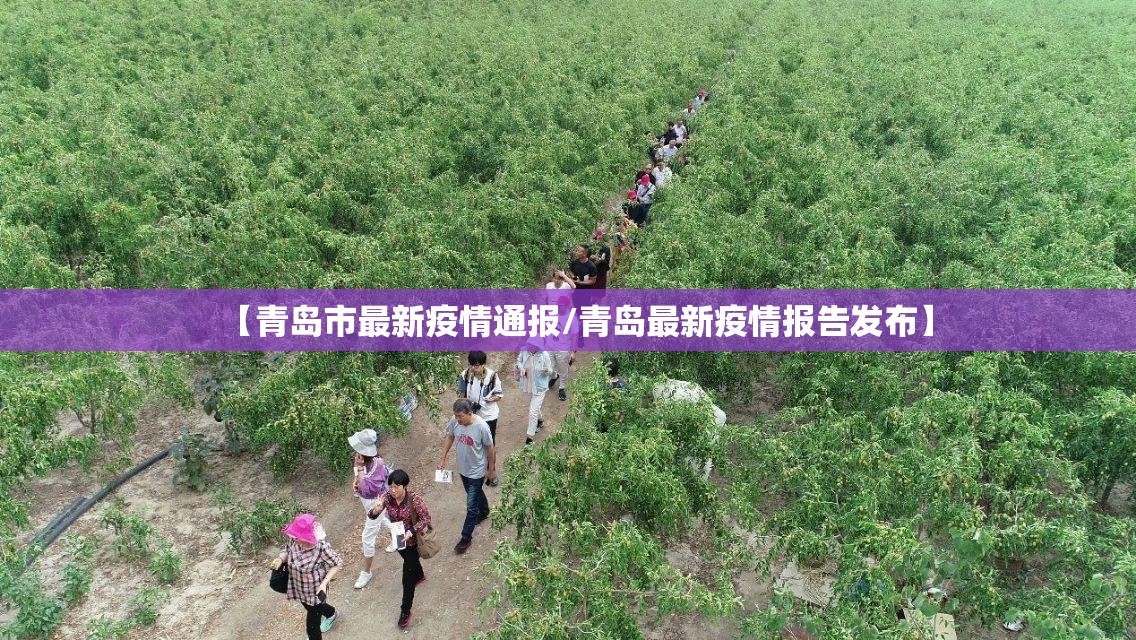 【青岛市最新疫情通报/青岛最新疫情报告发布】