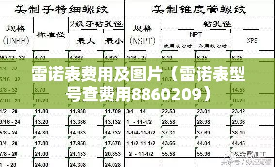 雷诺表费用及图片（雷诺表型号查费用8860209）