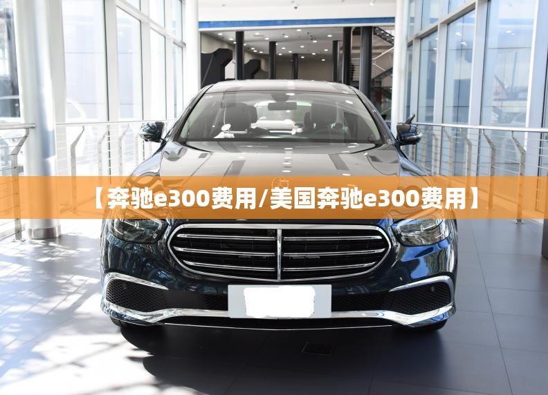 【奔驰e300费用/美国奔驰e300费用】