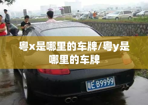 粤x是哪里的车牌/粤y是哪里的车牌