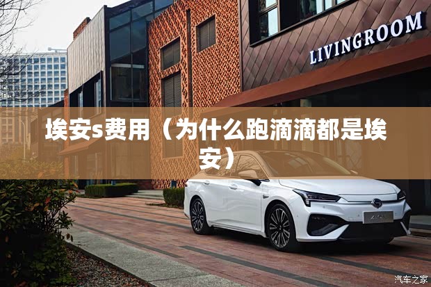 埃安s费用（为什么跑滴滴都是埃安）