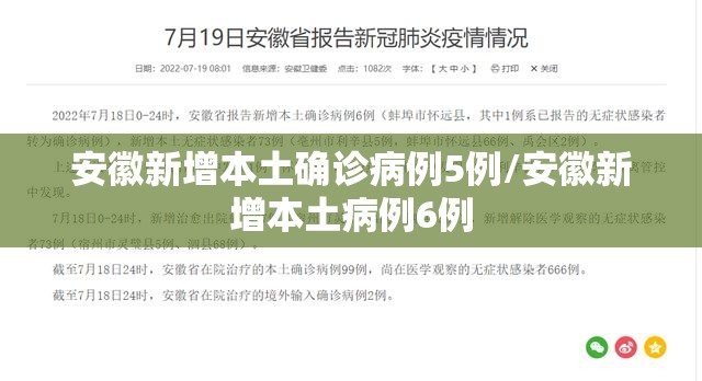 安徽新增本土确诊病例5例/安徽新增本土病例6例