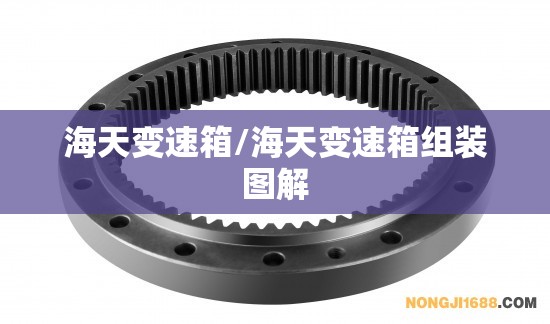 海天变速箱/海天变速箱组装图解