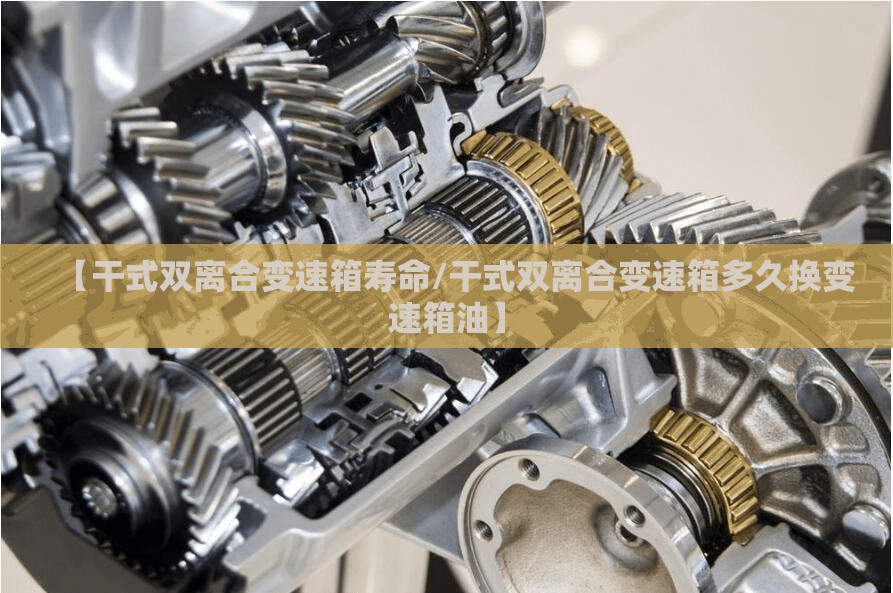 【干式双离合变速箱寿命/干式双离合变速箱多久换变速箱油】