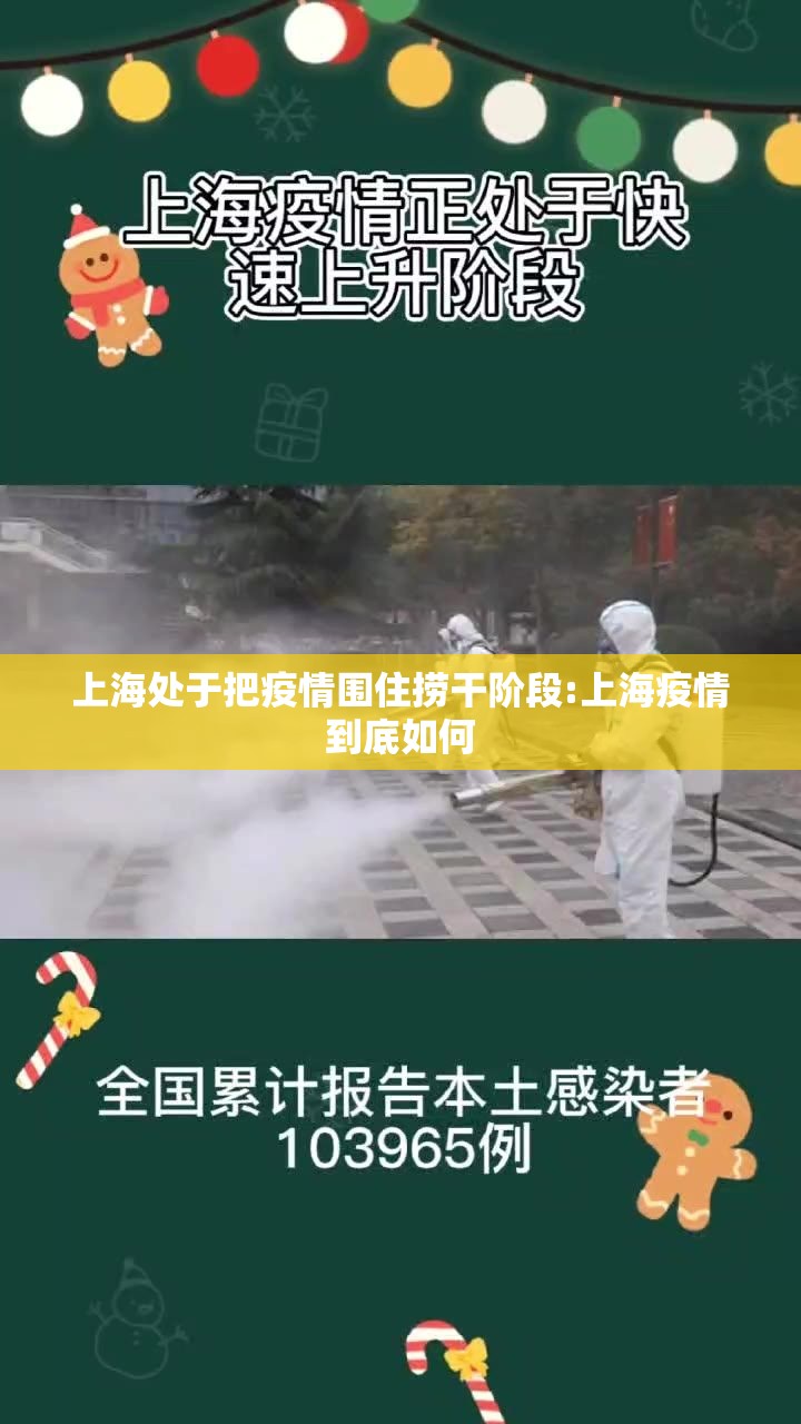 上海处于把疫情围住捞干阶段:上海疫情到底如何