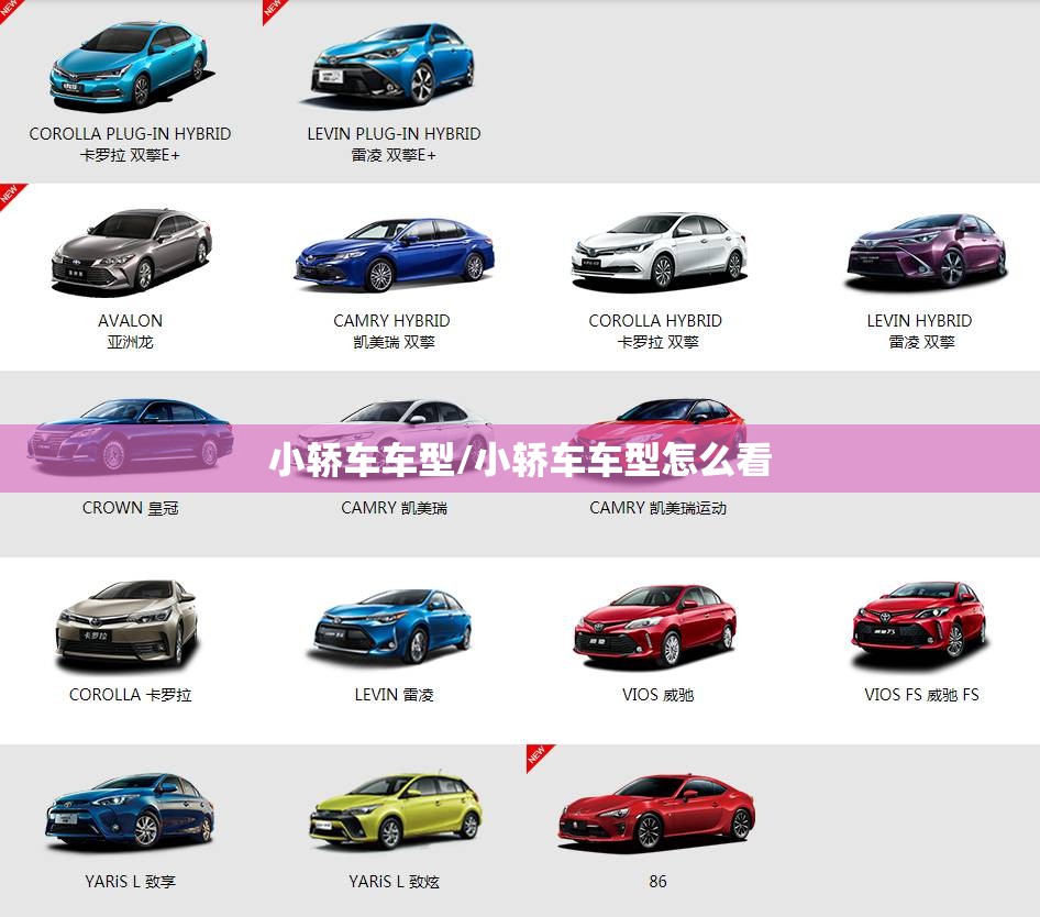 小轿车车型/小轿车车型怎么看