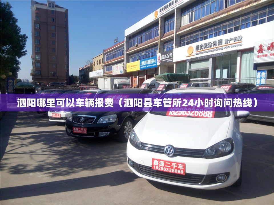 泗阳哪里可以车辆报费（泗阳县车管所24小时询问热线）