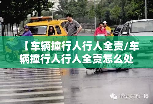 【车辆撞行人行人全责/车辆撞行人行人全责怎么处理】 【车辆撞行人行人全责/车辆撞行人行人全责怎么处理】