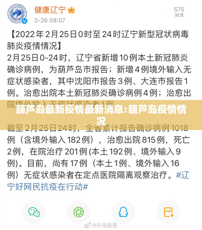 葫芦岛最新疫情最新消息:葫芦岛疫情情况