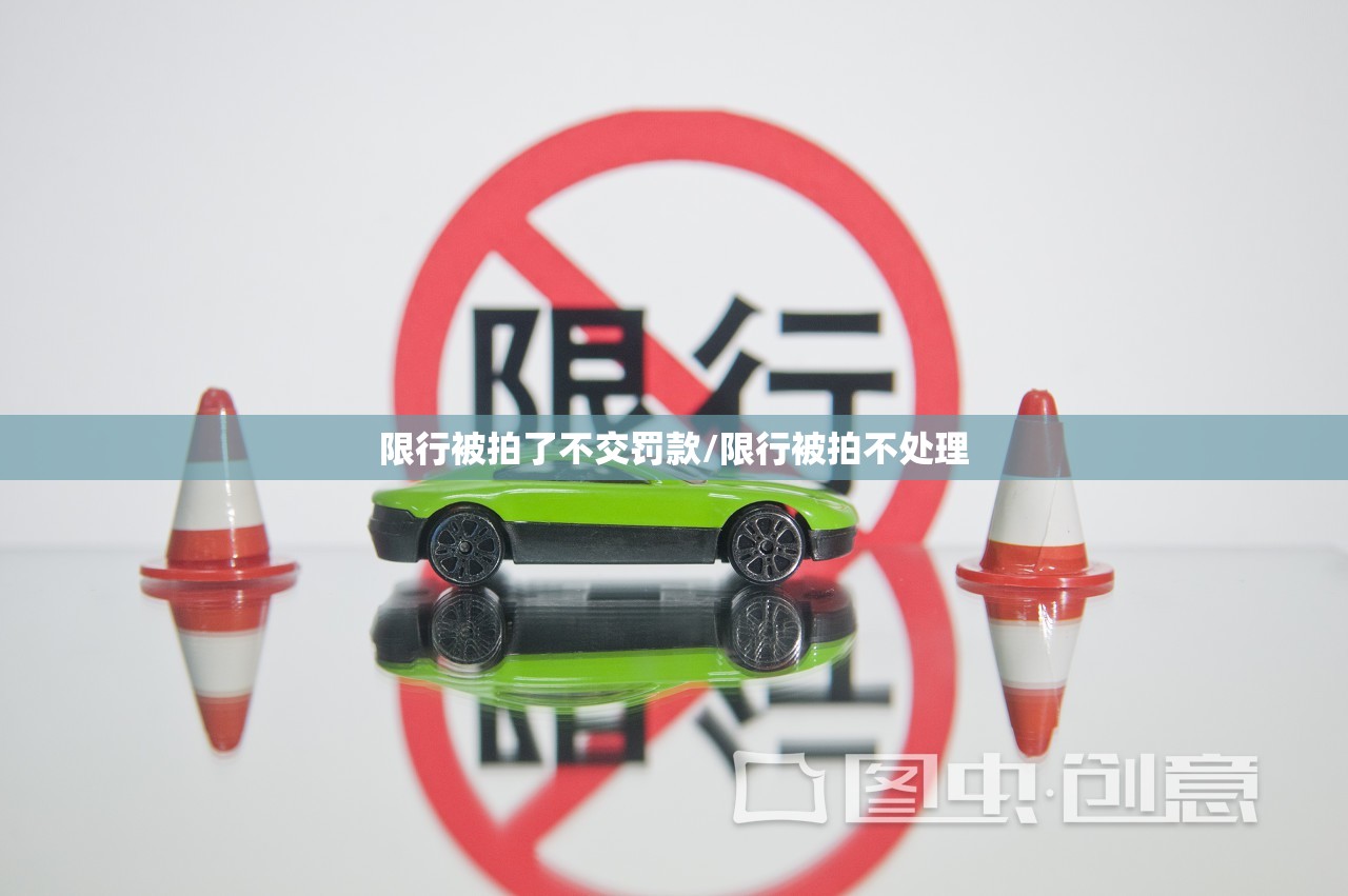 限行被拍了不交罚款/限行被拍不处理