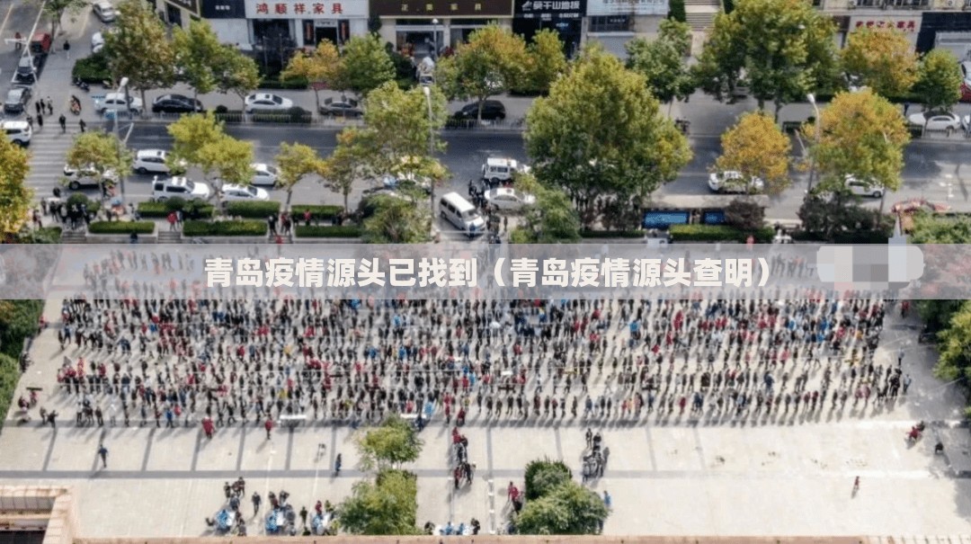 青岛疫情源头已找到（青岛疫情源头查明）