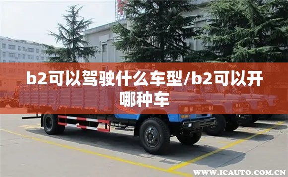 b2可以驾驶什么车型/b2可以开哪种车