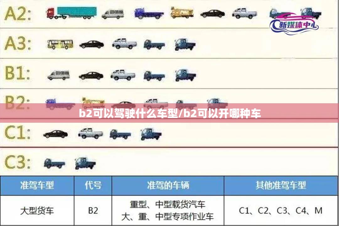 b2可以驾驶什么车型/b2可以开哪种车
