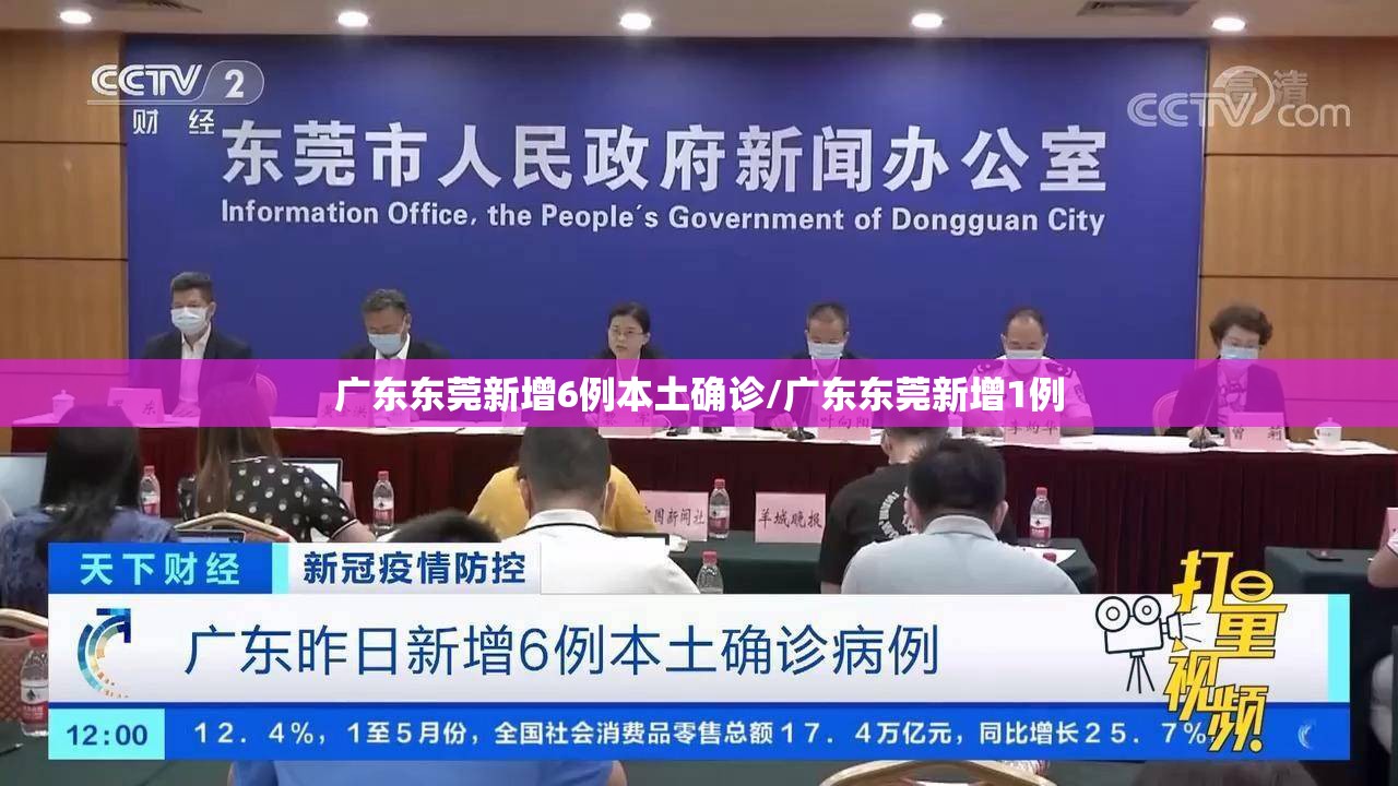 广东东莞新增6例本土确诊/广东东莞新增1例