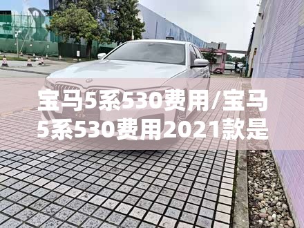 宝马5系530费用/宝马5系530费用2021款是什么样的