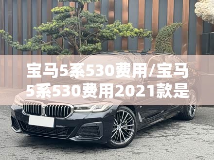 宝马5系530费用/宝马5系530费用2021款是什么样的