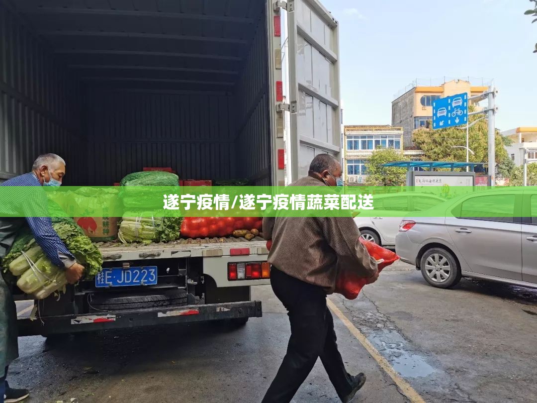 遂宁疫情/遂宁疫情蔬菜配送