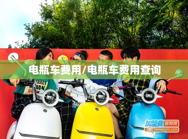 电瓶车费用/电瓶车费用查询