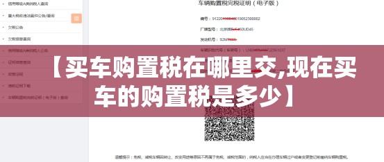 【买车购置税在哪里交,现在买车的购置税是多少】 【买车购置税在哪里交,现在买车的购置税是多少】