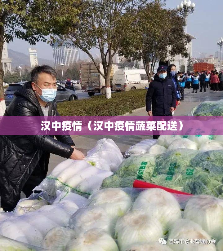 汉中疫情（汉中疫情蔬菜配送）
