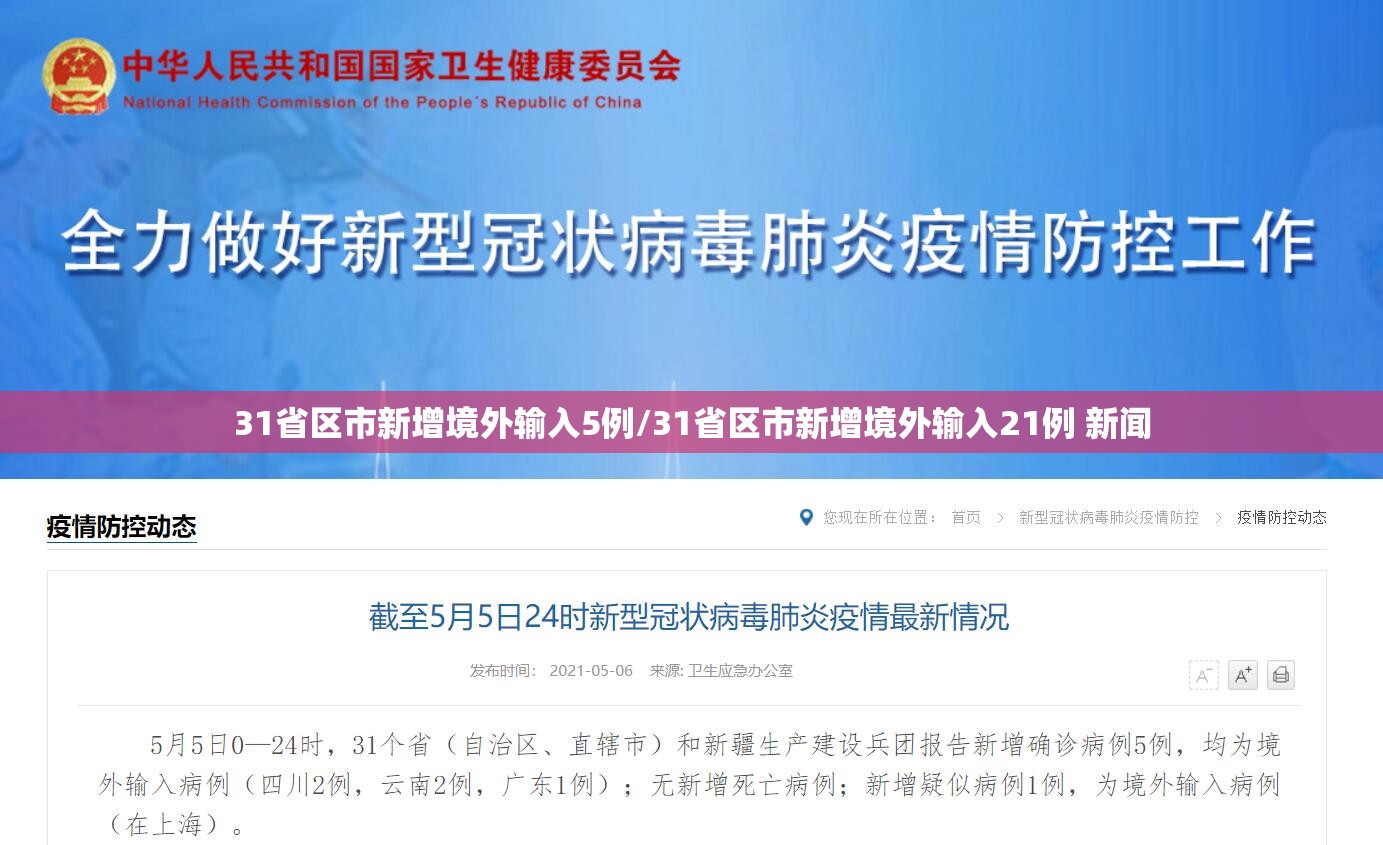31省区市新增境外输入5例/31省区市新增境外输入21例 新闻