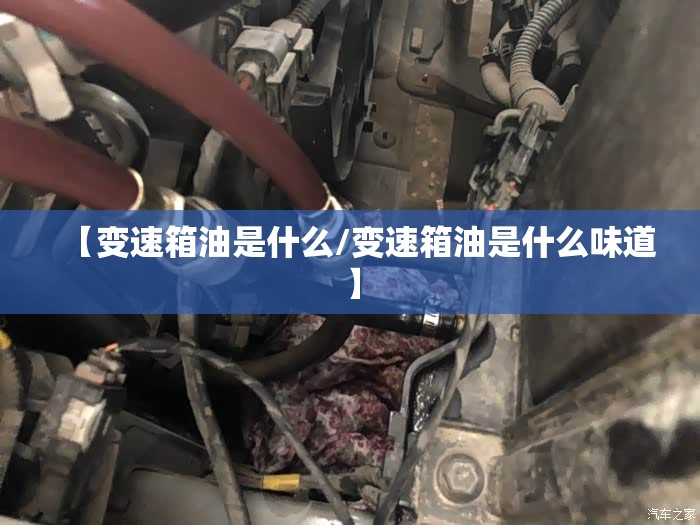 【变速箱油是什么/变速箱油是什么味道】