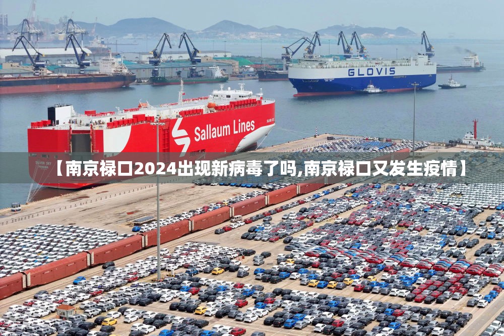 【南京禄口2024出现新病毒了吗,南京禄口又发生疫情】
